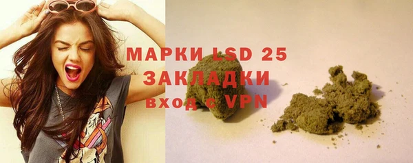 PSILOCYBIN Заволжск