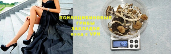 прущие крисы Заводоуковск