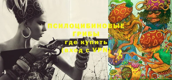 не бодяженный Зеленодольск