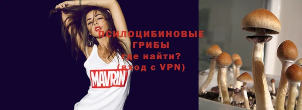 PSILOCYBIN Заволжск