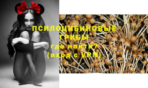 марки lsd Заволжье